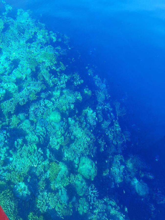 Blue Shark Divers Bunaken Exterior photo
